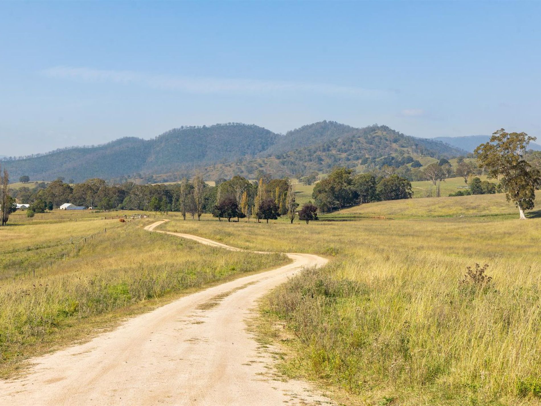 474 Neringla Road, Neringla, Araluen