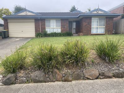 11 Willesden Drive, Waurn Ponds