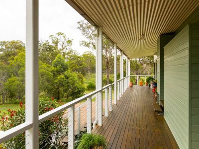 Blackbutt