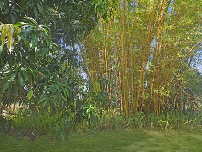 689 Ellerbeck Road, Kennedy