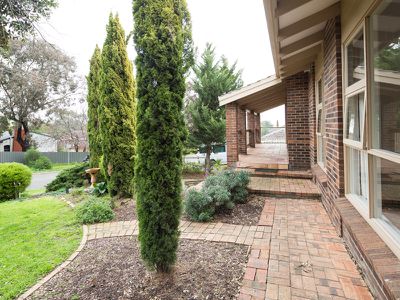 8 Offler Avenue, Bellevue Heights