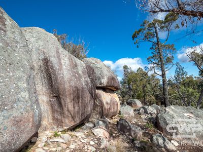 841 Gunyah Road, Tenterfield