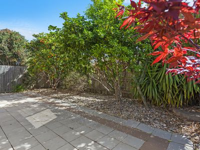 1 / 61 Kearney Street, Kearneys Spring