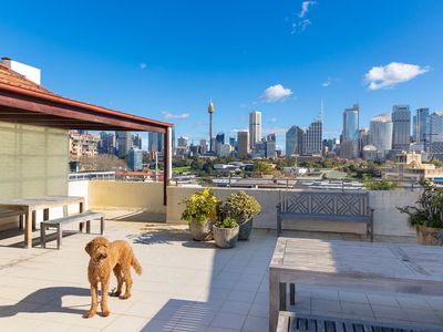 21 / 10A Challis Avenue, Potts Point