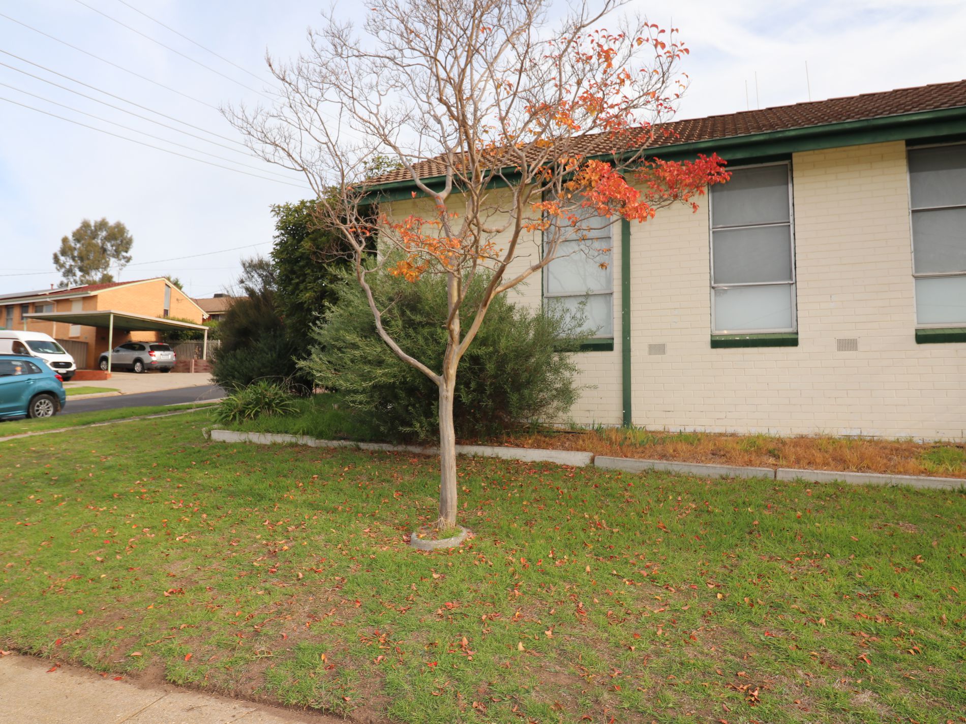 1 Oshea Court, Seymour