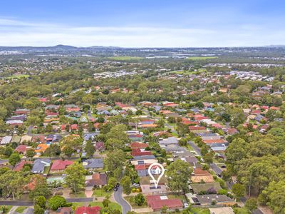19 Leichhardt Cct, Forest Lake