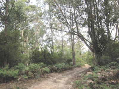 Lot 1 Crouchs Hill Road, Lucaston
