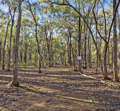 345 East Boundary Road, Murchison