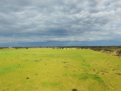 00 Hayman Lane, Kerang