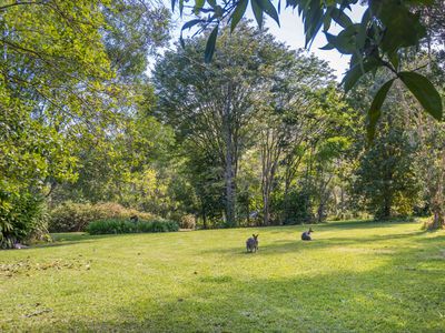 95 ANDERSON ROAD, Nimbin