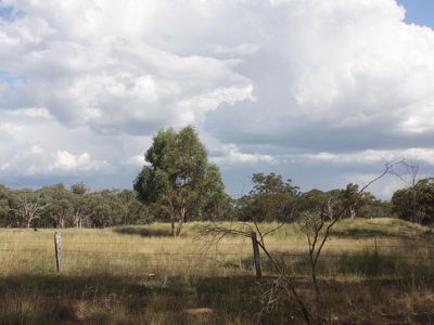 458 Sir Ivan Dougherty Drive, Dunedoo