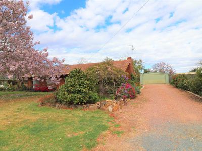 19 Corio St, Murchison