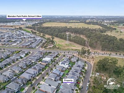 50 Avocet Circuit, Marsden Park