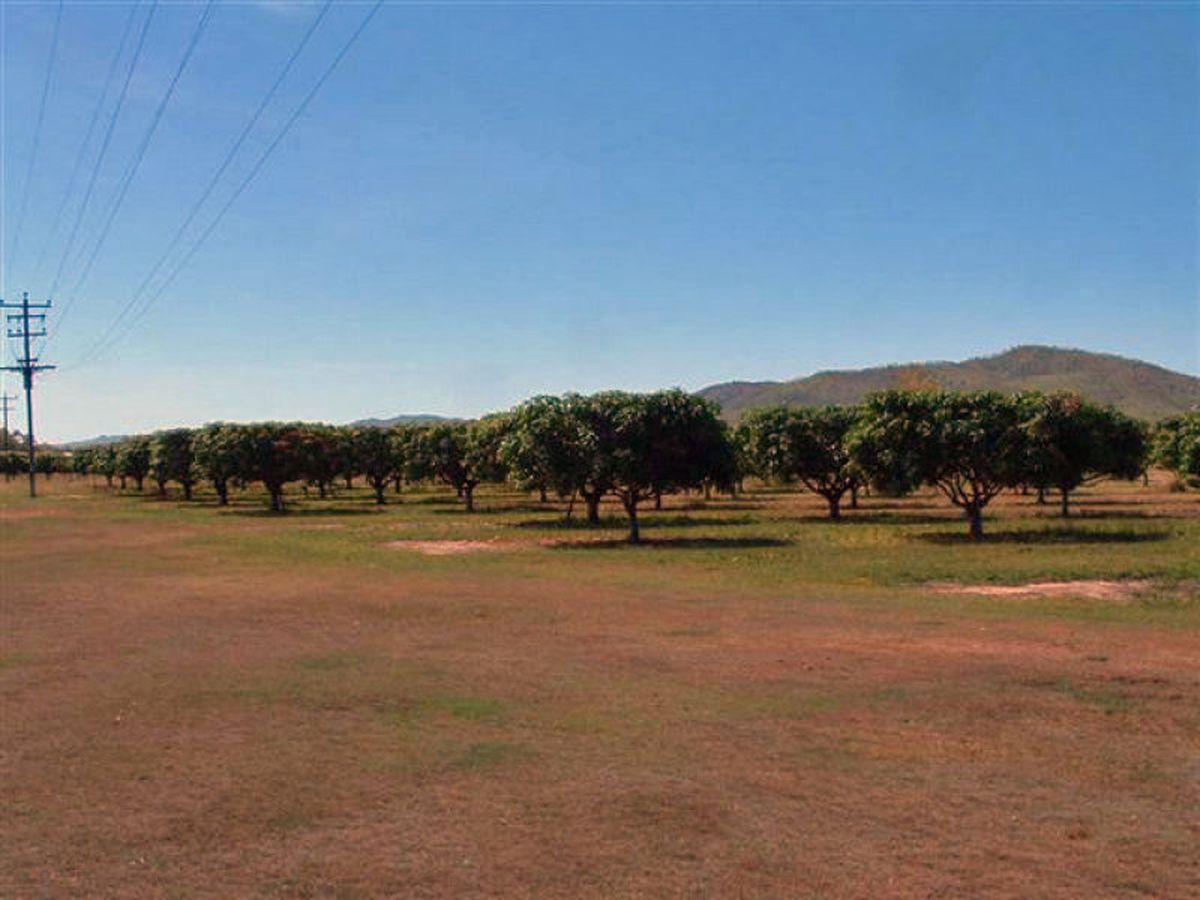 Mareeba