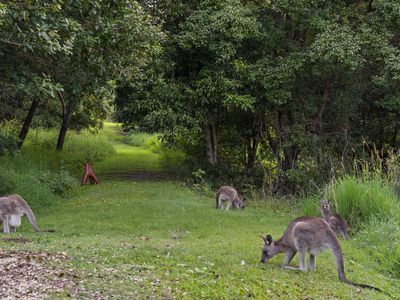 12 Warri Way, Currumbin Valley