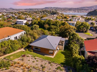 16 Spottiswoode Street, Andersons Bay