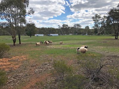 35 Wakefield Street, Wedderburn