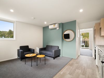 7, 9, 11 / 33 Malvern Street, Woodhaugh