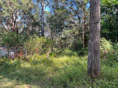 489 Davis Road, Jiggi