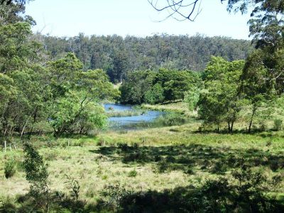 L44 /  50, 72 The Snake Track, Kiah, Kiah