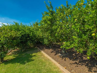 18 Philip Street, Kenilworth