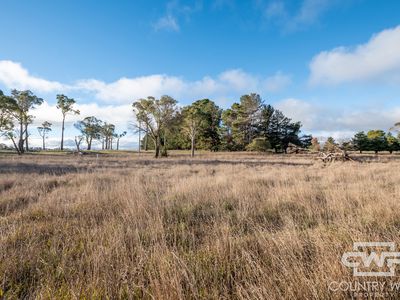 Lot 2, Tuckeys Lane, Guyra NSW 2365, Australia, Guyra