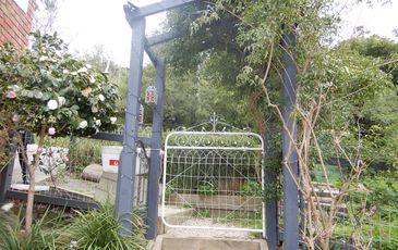 113  Old Belgrave Road, Upwey