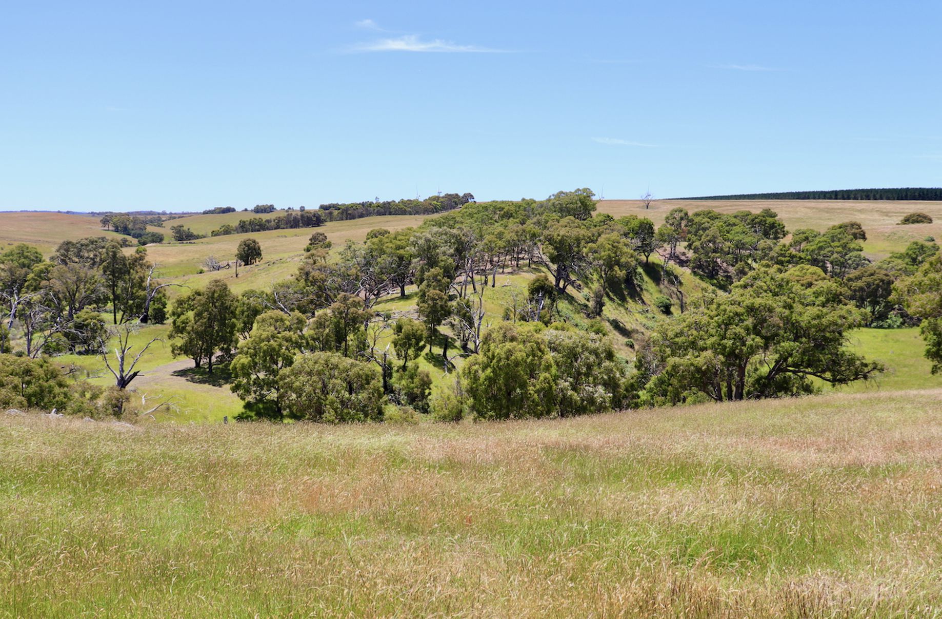 Lot 13, 13A, 13B, 31A &, 31C BRIDGE ROAD, Grenville