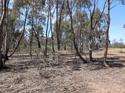 42 Ralstons Lane, Toolleen