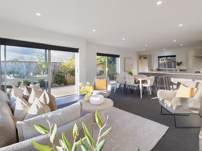 14A Princes Street, Levin