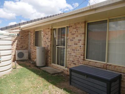 3 / 16 Thelma, Kingaroy