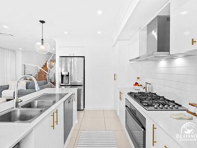 50 Avocet Circuit, Marsden Park