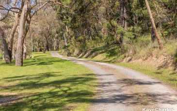 55 Leppitt Road, Pakenham