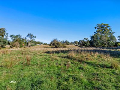 Wynyard
