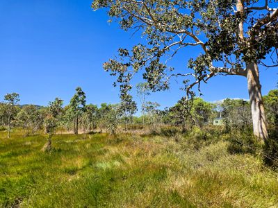 556 Mount Amos Road, Cooktown
