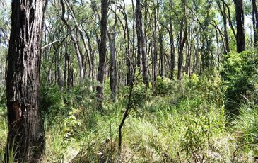 Lot 2 Morrison Road, Pakenham Upper