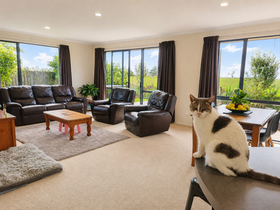41B Springs Road, Parakai, Helensville