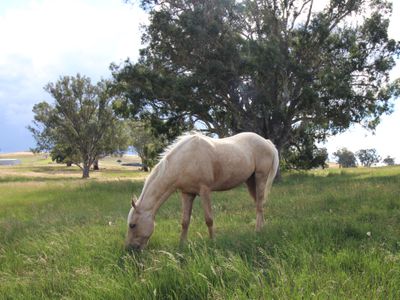 80 Owens Creek Drive, Mansfield