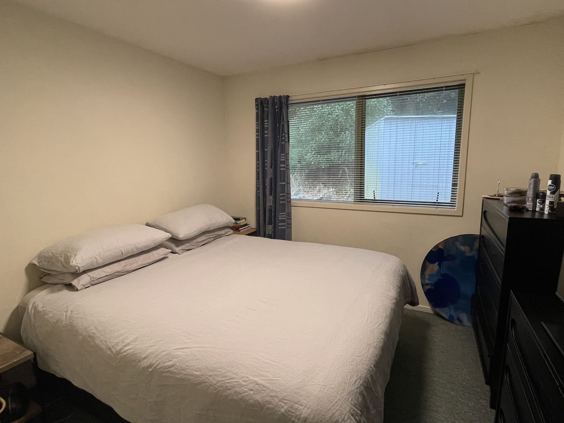 154 Dunrobin, Waverley
