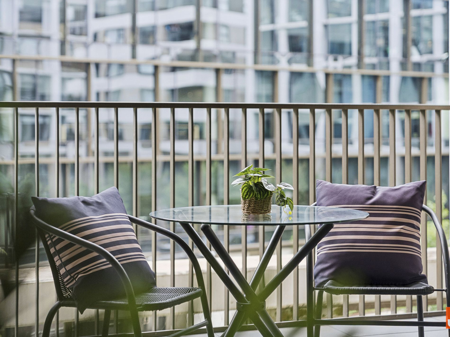 206 / 21 Challis Street, Dickson