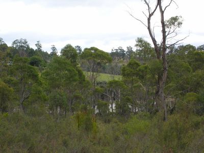 Esperance Coast Road, Surges Bay