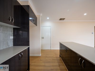 10 Water Fern Grove, Greenvale