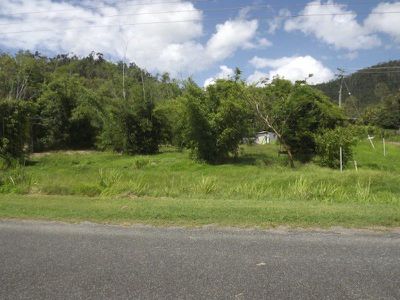 423 Paluma Road, Woodwark