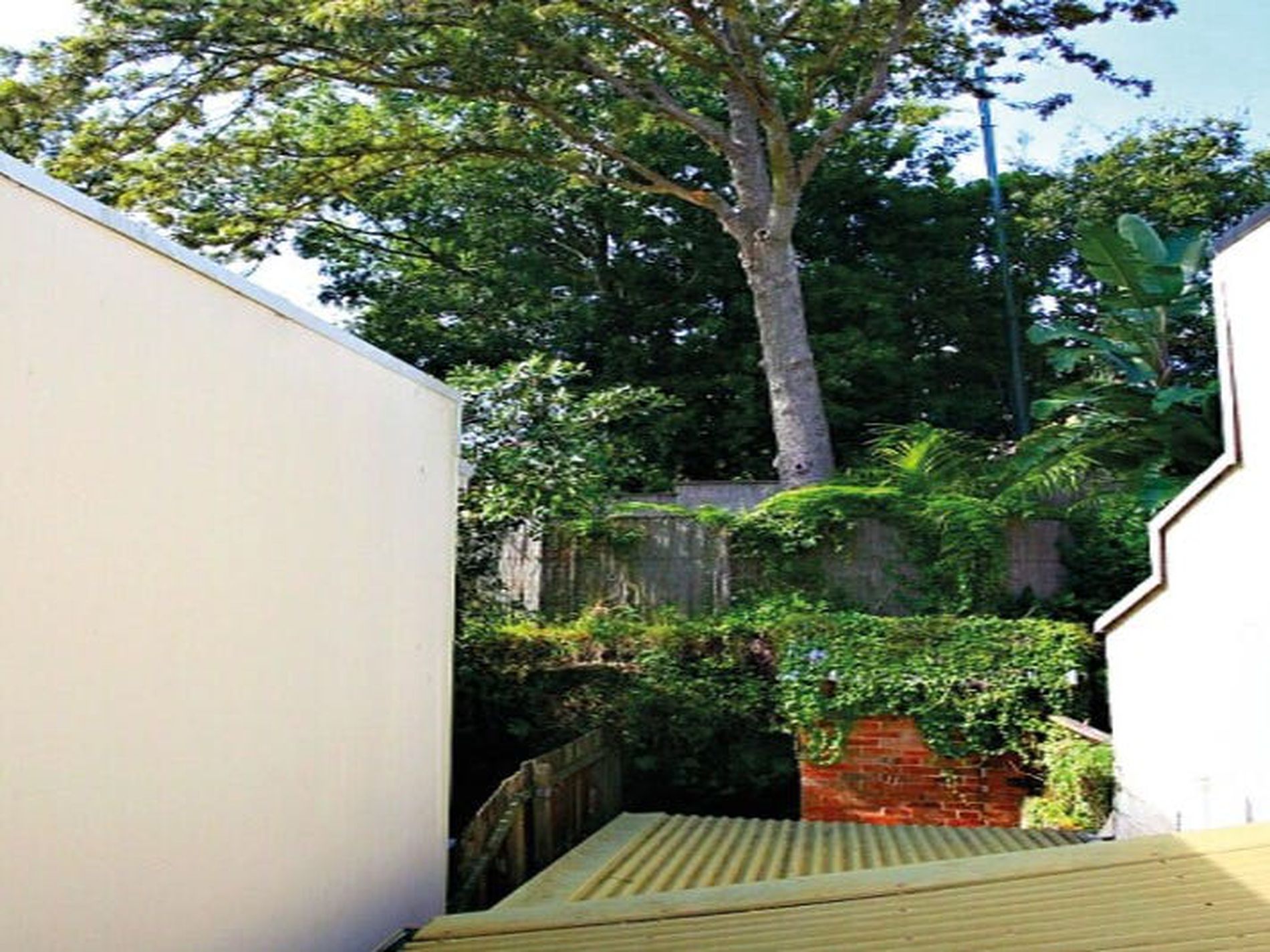 5 Great Thorne Street, Edgecliff