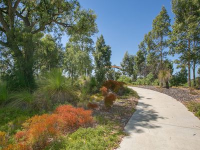 62 Salwood Loop, Banksia Grove