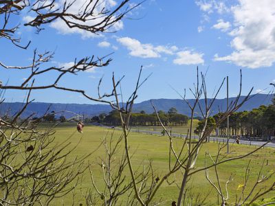96 Maple Street, Albion Park Rail