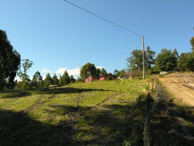 1205 Pelverata Road, Pelverata