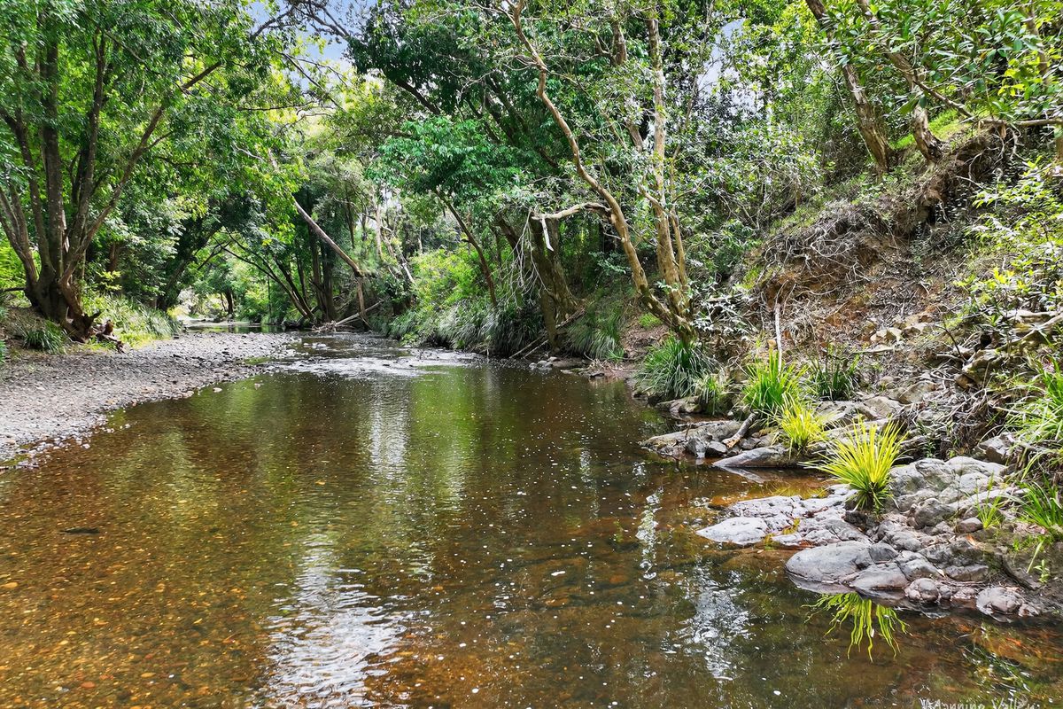 64 Millers Road, Bobin