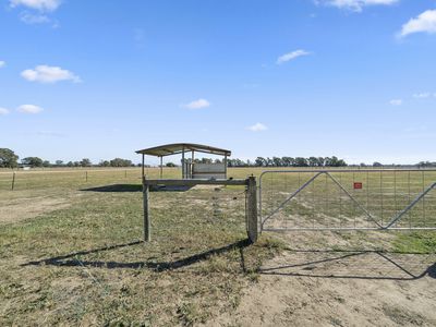 353 Lyons Road, Tarrawingee