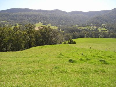 111 TreeFern Road, Kangaroo Valley